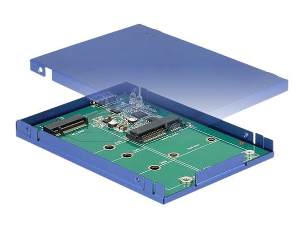 DeLOCK - Lagringspakke - M.2-kort / mSATA - USB 3.1 (Gen 2)