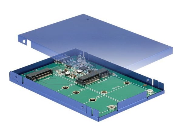 DeLOCK - Lagringspakke - M.2-kort / mSATA - USB 3.1 (Gen 2)