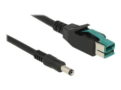 Delock - Strømforsynt USB-kabel - USB PlusPower (12 V) (hann) til DC-jakk på 2,1/5,5 mm (hann) - 12 V - 1 m - svart