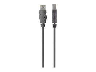 Belkin Premium Printer Cable - USB-kaapeli - USB Type B (han) til USB (han) - USB 2.0 - 1.8 m - formet - formet