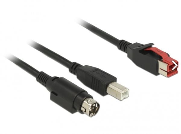 Delock - Vahvistettu USB-kaapeli - USB PlusPower (24 V) (uros) - USB Type B, Power mini-DIN (uros) - 24 V - 2 m - musta - musta