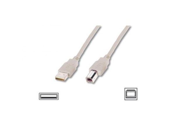 ASSMANN - USB-kaapeli - USB (uros) - USB Type B (uros) - USB 2.0 - 1,8 m - muotoiltu - beige