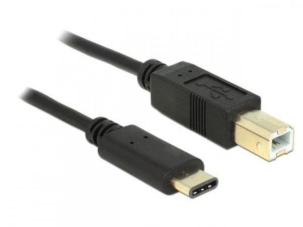 DeLOCK - USB-kaapeli - USB-C (han) til USB Type B (han) - USB 3.1 - 1 m - lajittelu