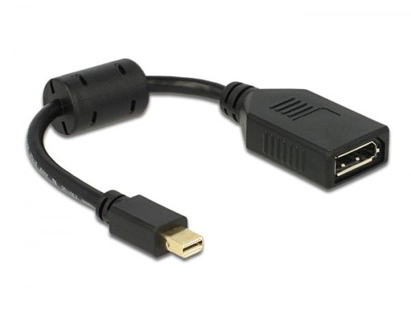 Delock - DisplayPort-adapter - DisplayPort (hunn) til Mini DisplayPort (hann) - 21 cm - svart