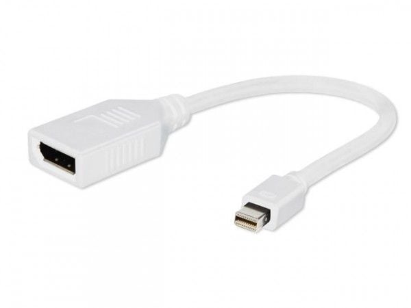 Cablexpert - DisplayPort-adapter - DisplayPort (hunn) til Mini DisplayPort (hann) - 10 cm - hvit