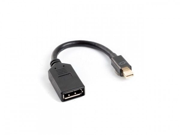 Lanberg - DisplayPort-adapter - Mini DisplayPort hann til DisplayPort hunn - 12 cm