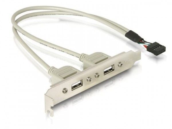 DeLOCK Slotbracket 1x internal USB 5pin > 2x USB2.0 external, 0,3 m, USB A