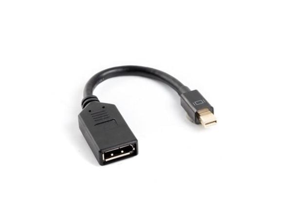 Lanberg - DisplayPort-adapter - Mini DisplayPort hann til DisplayPort hunn - 12 cm