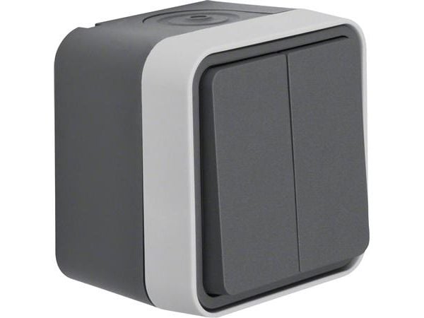 Berker 30753505, Knapper, Grå, 10 A, 250 V