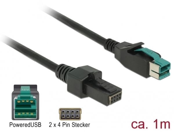 Delock - USB-kabel med egen strömförsörjning - USB PlusPower (12 V) (hane) till 8 stifts (2x4) PoweredUSB-fjärrsida (hane) - 12 V - 1 m - svart