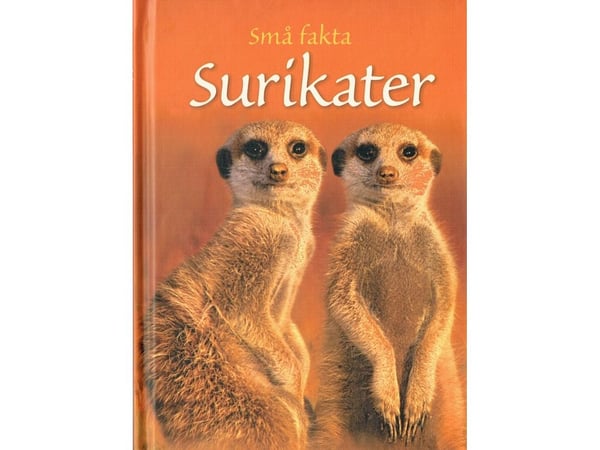 Rask fakta: surikater | James Maclaine | Språk: Dansk