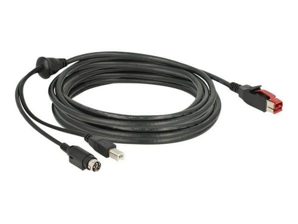 Delock - Strømforsynt USB-kabel - USB PlusPower (24 V) (hann) til USB-type B, Power mini-DIN (hann) - 24 V - 5 m - svart