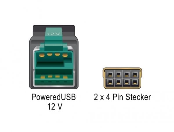 Delock - USB-kabel med egen strömförsörjning - USB PlusPower (12 V) (hane) till 8 stifts (2x4) PoweredUSB-fjärrsida (hane) - 12 V - 3 m - svart