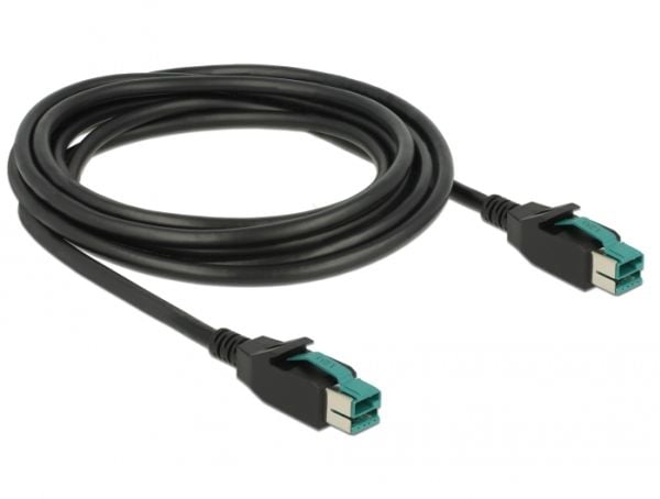 Delock - USB-kabel med egen strömförsörjning - USB PlusPower (12 V) (hane) till USB PlusPower (12 V) (hane) - 12 V - 3 m - svart