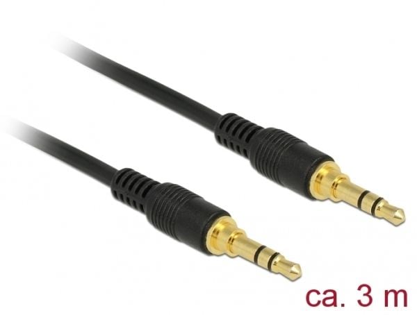 Delock - Ljudkabel - mini-phone stereo 3.5 mm hane till mini-phone stereo 3.5 mm hane - 3 m - svart