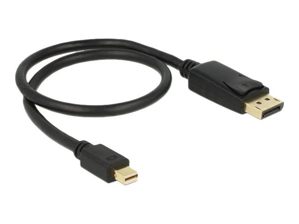 Delock - DisplayPort-adapter - DisplayPort (hane) till Mini DisplayPort (hane) - 50 cm - svart