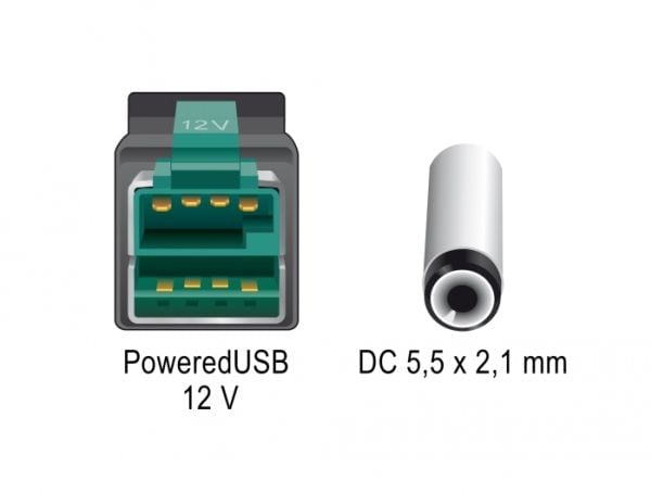 Delock - Strømforsynt USB-kabel - USB PlusPower (12 V) (hann) til DC-jakk på 2,1/5,5 mm (hann) - 12 V - 1 m - svart