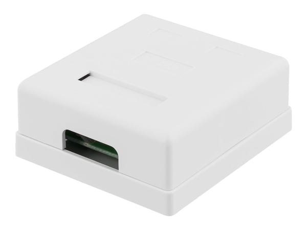 DELTACO VR-219 - Pinta-asennusliitin - pinta-asennettava - CAT 6 - UTP - RJ-45 X 2 - valkoinen
