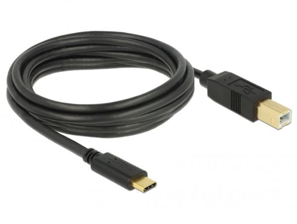 DeLOCK - USB-kaapeli - USB-C (han) til USB Type B (han) - USB 2.0 - 3 A - 3 m - lajittelu