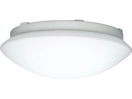 Steinel RS 16 L - Vegg/taklampe - 1 sokkel - E27 - opal
