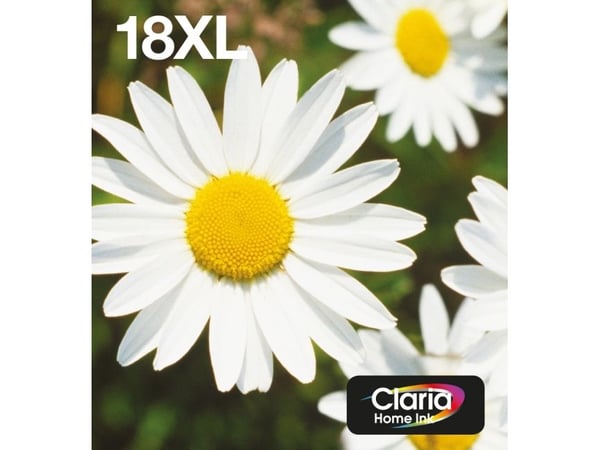 Epson Daisy Multipack 4-colours 18XL EasyMail, Korkea (XL) värintuotto, Musta, Syaani, Magenta, Keltainen, 11,5 ml, 6,6 ml, 1 kpl, Monipakkaus
