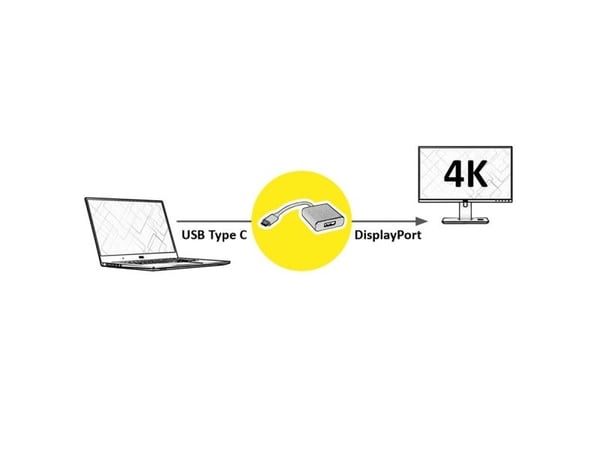 ROLINE 12.03.3220, 0.1 m, USB Type-C, DisplayPort, uros, naaras, suora, suora