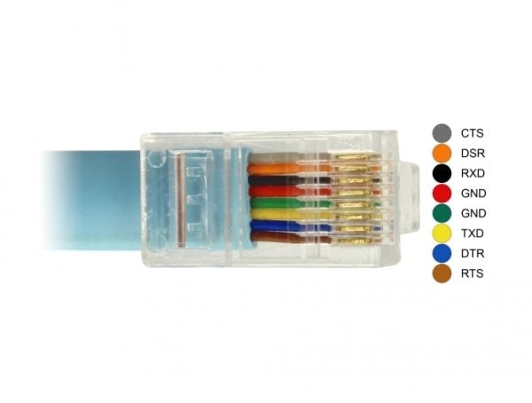 Delock Adapter RS-232 DB9 naaras > 1 x Serial RS-232 RJ45 uros - Serielt kabel - DB-9 (hun) kan skrues til RJ-45 (han) - 1 m - blå