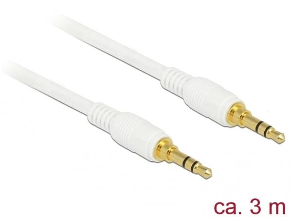 Delock - Lydkabel - mini-phone stereo 3.5 mm hann til mini-phone stereo 3.5 mm hann - 3 m - hvit