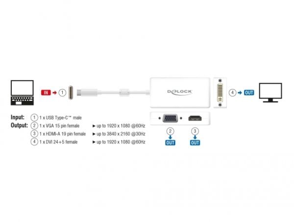 Delock - Extern videoadapter - USB-C - DVI, HDMI, VGA - vit