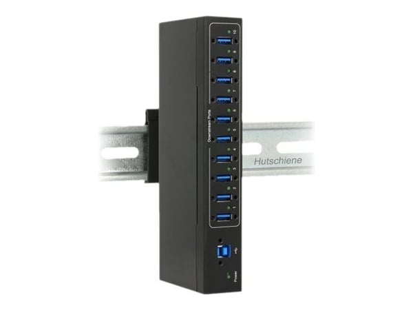 Delock External Industry Hub 10 x USB 3.0 Type-A with 20 kV ESD protection - Hubb - 10 x SuperSpeed USB 3.0 - DIN-skenmonterbar, väggmonterbar - li...