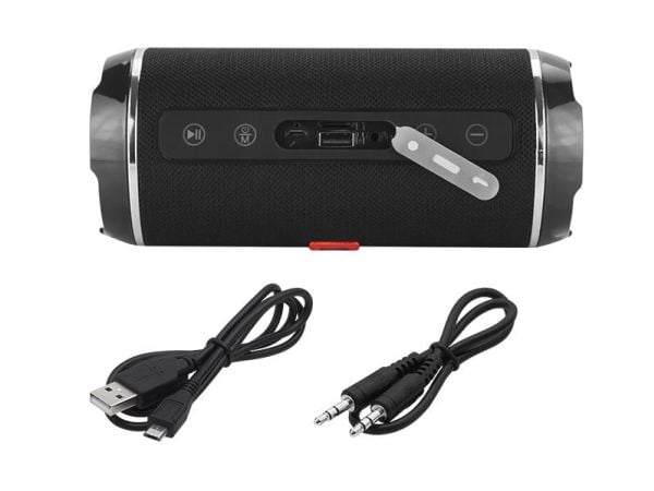 BLOW BT460, 10 W, 100 - 20000 Hz, Trådløs, 10 m, Stereo bærbar høyttaler, Svart, Sølv