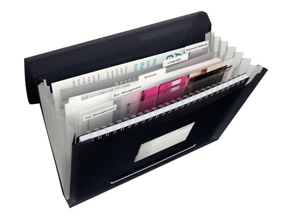 Esselte Folder with compartments VIVIDA Black (624017)