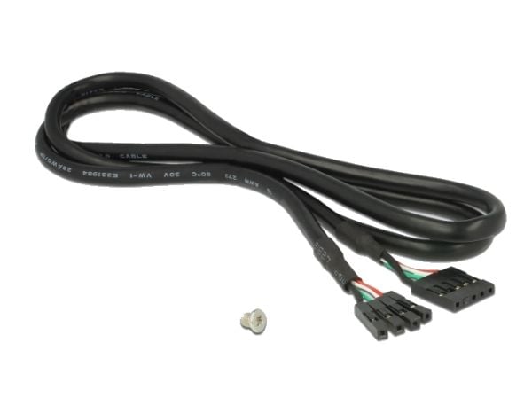 Delock - Lagringskontroller - M.2 - M.2-kort - lav profil - PCIe x1, USB 2.0