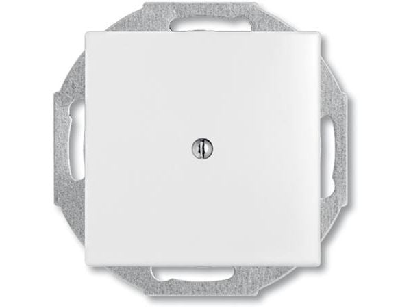 ABB-basic55 Tyhjä suojus, jossa on kaapelin vedonpoisto enintään Ø10 mm:n kaapelille, mattavalkoinen, 1 moduuli