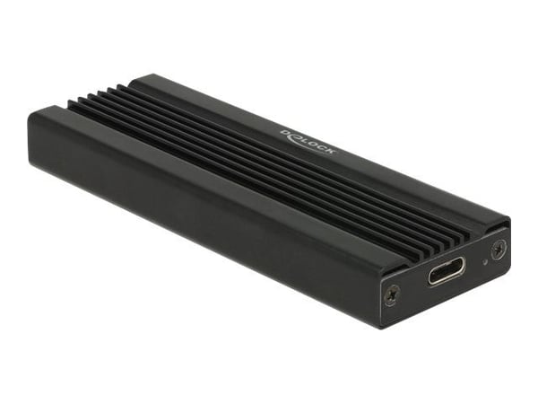 Delock - Lagringspakning - M.2 Kort - USB 3.1 (Gen 2) - sort