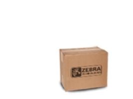 Zebra - 300 dpi - skrivhuvud - för Zebra ZE500-4