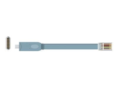 Delock - Seriell adapter - 24 pin USB-C (hann) til RJ-45 (hann) - 50 cm - EIA-232 - grå