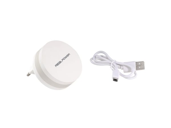 Realpower PBC1800 - Tehopankki + verkkolaite - 1800 mAh - 1 A (USB) - kaapelissa: Micro-USB