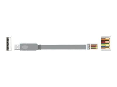 Delock - Seriell kabel - USB (hann) til RJ-45 (hann) - 50 cm - EIA-232 - grå