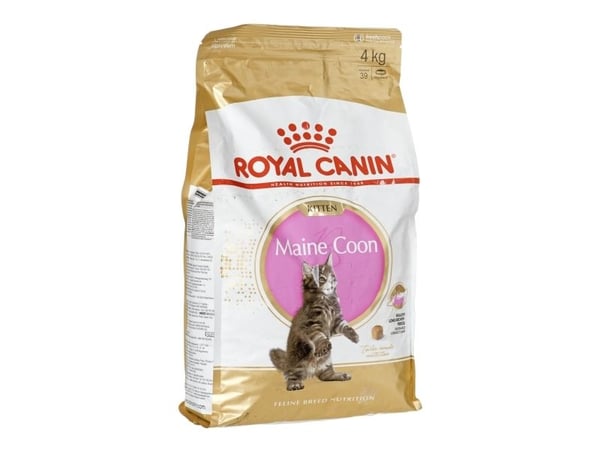 Royal Canin Maine Coon Kitten, Kattunge, Maine coon, Fjærfe, Ris, 4 kg, Antioksidanter medfølger