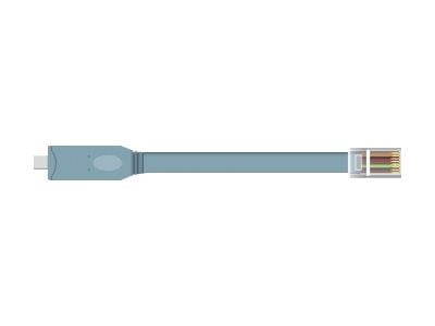 Delock - Sarjasovitin - USB-C - RS-232 x 1 - grå