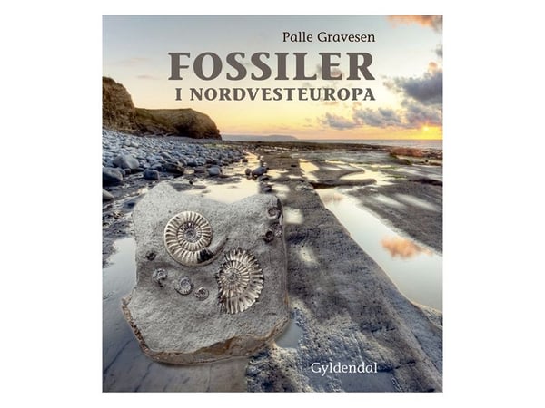 Fossiler i Nordvest-Europa | Palle Gravesen | Språk: Dansk