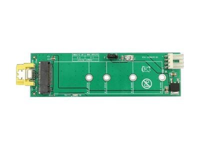 Delock - Grensesnittsadapter - M.2 - M.2 Card