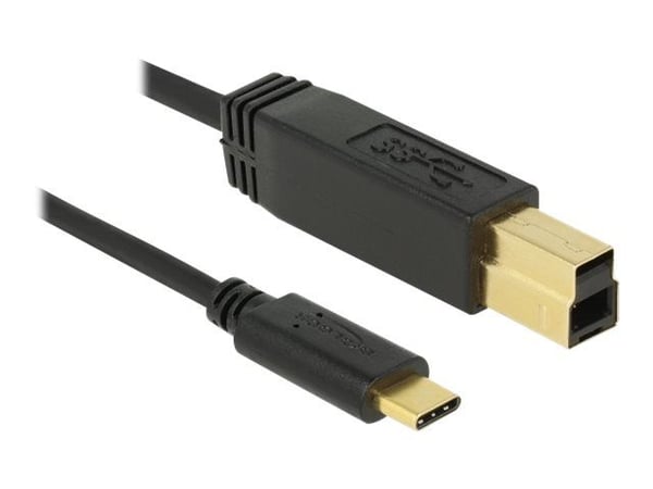 Delock - USB-kabel - USB-C (hann) til USB Type B (hann) - USB 3.1 Gen 2 - 3 A - 50 cm - svart