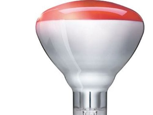 Philips - Infrarødt glødelampesøkelys - form: BR125 - E27 - 150 W - rød
