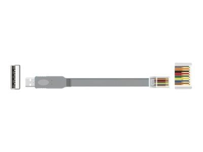 Delock - Seriell kabel - USB (hann) til RJ-45 (hann) - 1 m - EIA-232 - grå