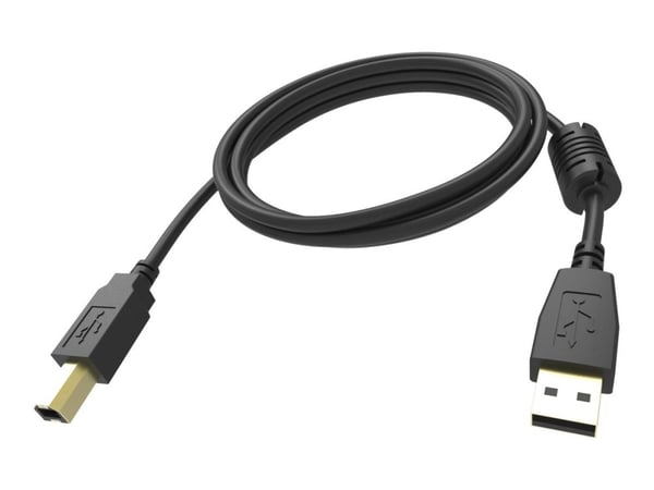 Vision Professional - USB-kaapeli - USB (han) til USB Type B (han) - USB 2.0 - 3 m - lajiteltu