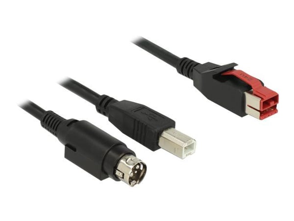 Delock - Vahvistettu USB-kaapeli - USB PlusPower (24 V) (uros) - USB Type B, Power mini-DIN (uros) - 24 V - 2 m - musta - musta