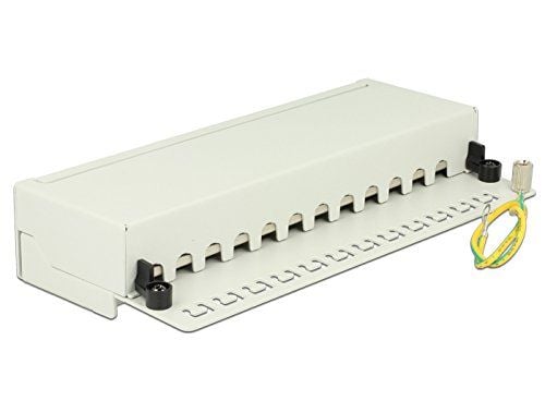 Delock - Koblingspanel - CAT 6 - RJ-45 X 12 - lysegrå, RAL 7035