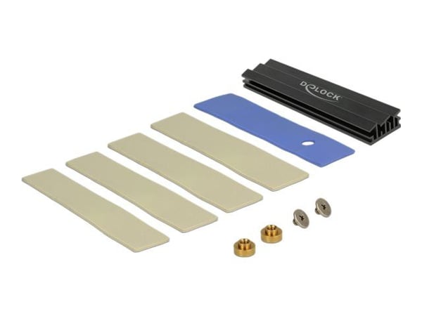 Delock 89630 PCI Express -kortti PCIe